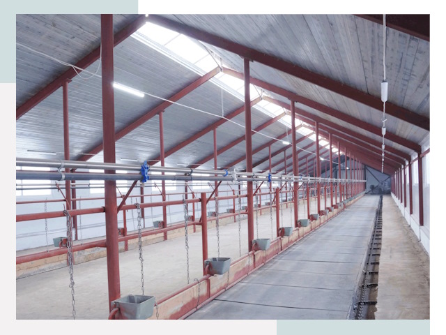 Строительство коровников в Карпинске от 616 руб.