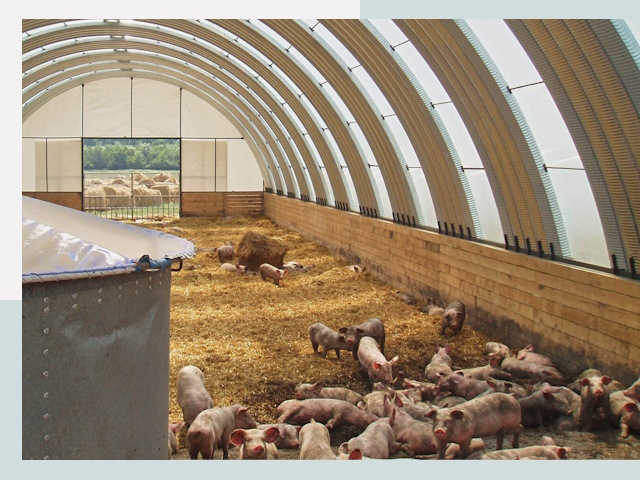 Строительство свинарников в Карпинске