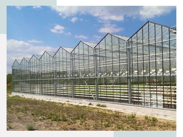 Строительство теплиц в Карпинск от 616 руб. за м²